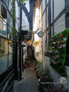 IMG_20201017_150703
